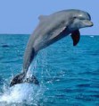 /album/fotogaleria/images-9-jpg/
